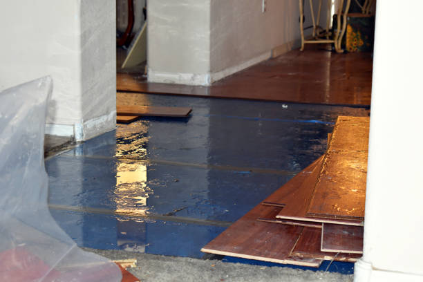 Professional Basement Flood Cleanup technician working in Fruitland, WA